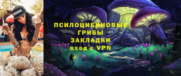 Альфа ПВП Бородино