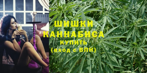Альфа ПВП Бородино